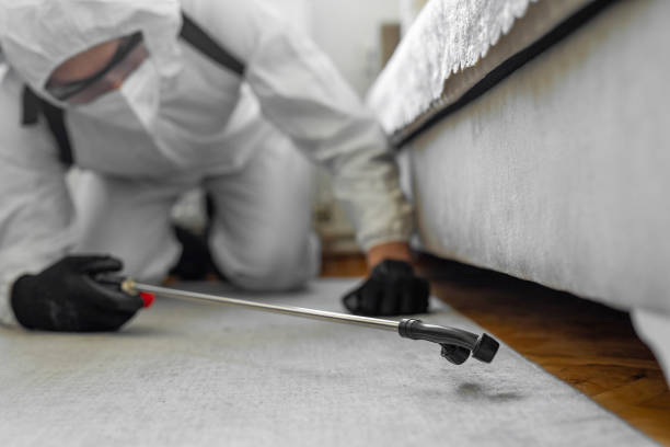 Professional Cockroach Control technician working in Montello, WI